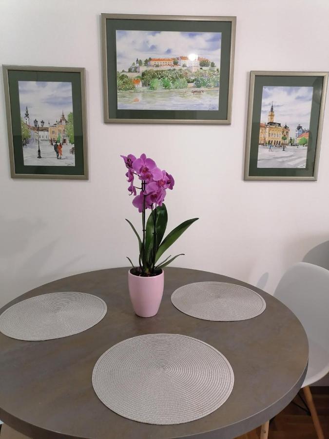 Apartamento Carmen deluxe Novi Sad Exterior foto